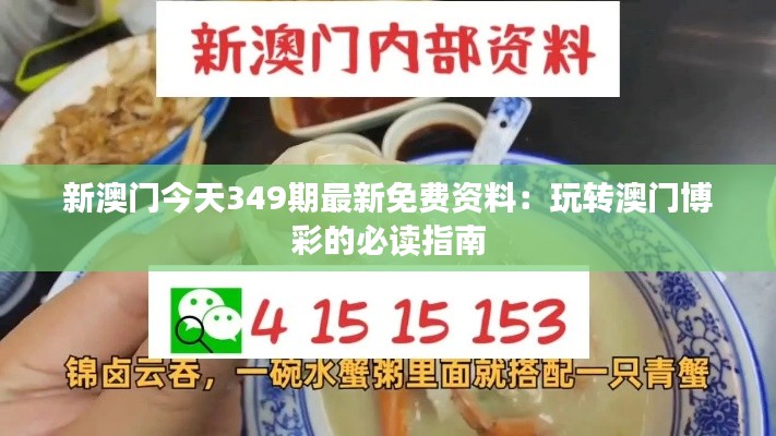新澳门今天349期最新免费资料：玩转澳门博彩的必读指南