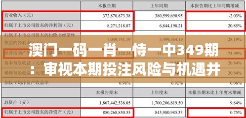 澳门一码一肖一恃一中349期：审视本期投注风险与机遇并存