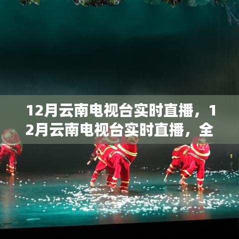 12月云南电视台实时直播深度解析，特性、体验、竞争对比及用户群体探讨
