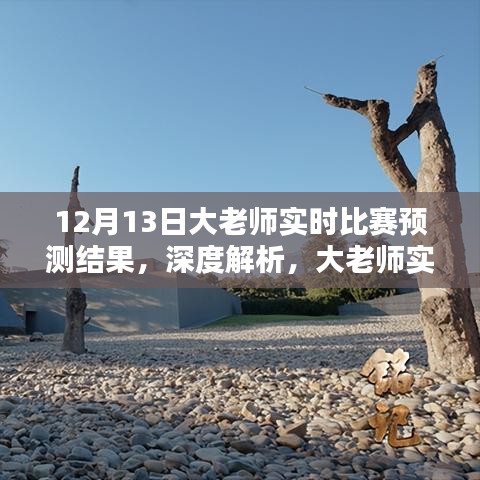 大老师12月13日比赛预测深度解析及结果揭秘