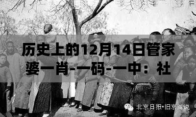 历史上的12月14日管家婆一肖-一码-一中：社会运动的力量与变革