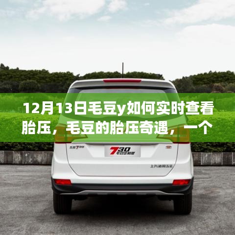 毛豆y胎压奇遇，友情、陪伴与温馨的实时查看之旅