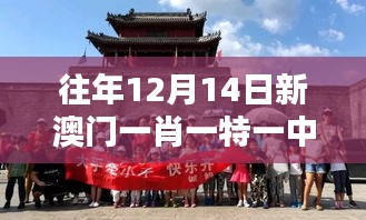 往年12月14日新澳门一肖一特一中：澳门文化融合的典范