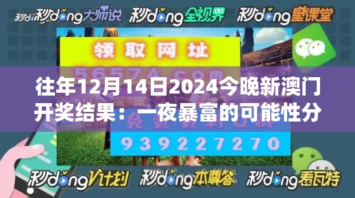 往年12月14日2024今晚新澳门开奖结果：一夜暴富的可能性分析