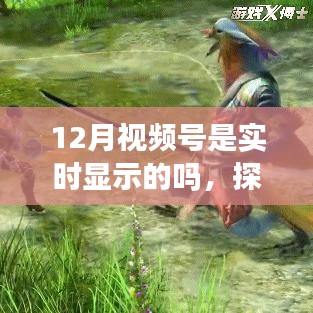 探秘视频号实时显示机制，以12月为例深度剖析视频号的实时特性与用户体验体验