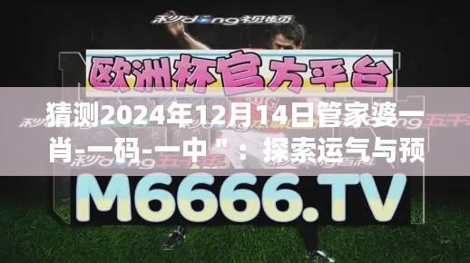 猜测2024年12月14日管家婆一肖-一码-一中＂：探索运气与预测的微妙联系