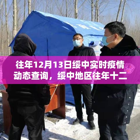 绥中地区历年十二月十三日疫情动态深度分析与观点阐述，实时查询报告出炉！