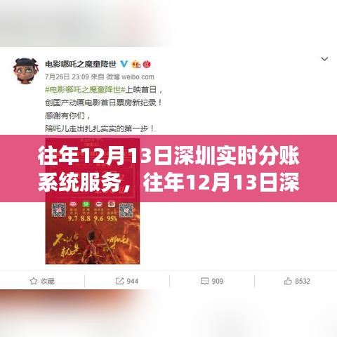 往年12月13日深圳实时分账系统服务详解与评测介绍