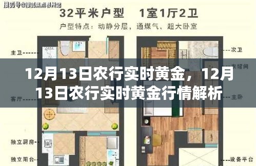 12月13日农行实时黄金行情深度解析