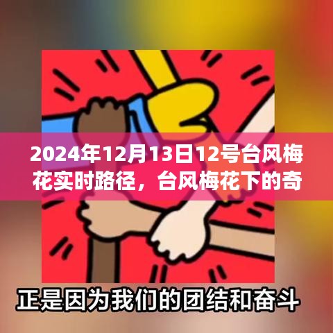 台风梅花下的奇妙旅行，追寻自然美景与内心宁静的旅程