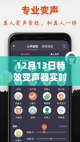 12月13日特效变声器实时版投诉详解及问题指南