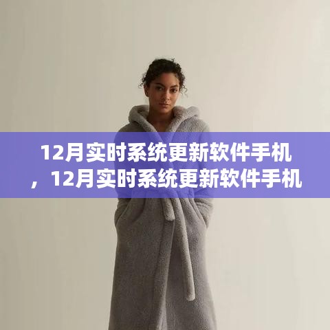 技术前沿与用户体验，探讨手机实时系统更新软件在12月的发展趋势