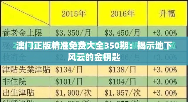 澳门正版精准免费大全350期：揭示地下风云的金钥匙