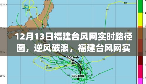 逆风破浪，福建台风网实时路径图背后的励志故事