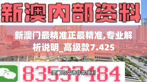 新澳门最精准正最精准,专业解析说明_高级款7.425