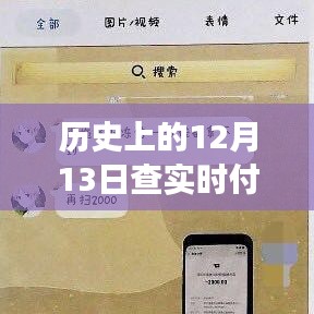 历史上的12月13日实时付款软件，影响与争议