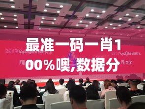 最准一码一肖100%噢,数据分析说明_桌面款8.242
