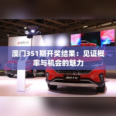 澳门351期开奖结果：见证概率与机会的魅力
