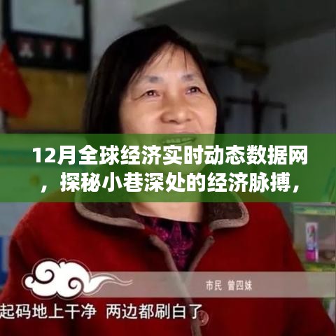 探秘全球经济的实时动态，深度解析十二月数据网