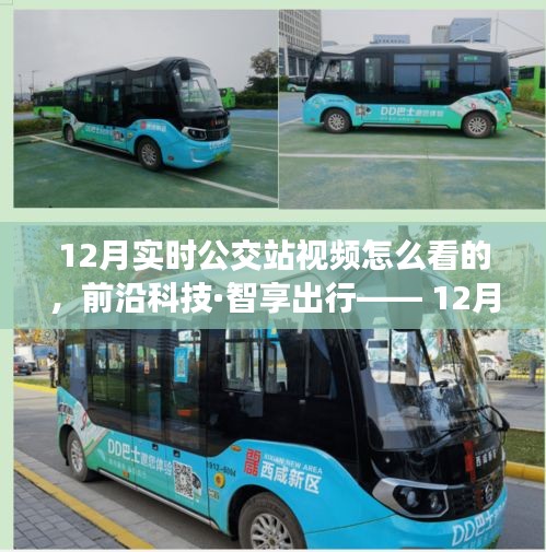 前沿科技助力智享出行，12月实时公交站视频智能观看系统上线
