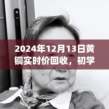 百不得一 第3页