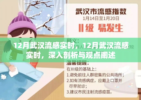 深入剖析与观点阐述，武汉流感实时动态观察报告