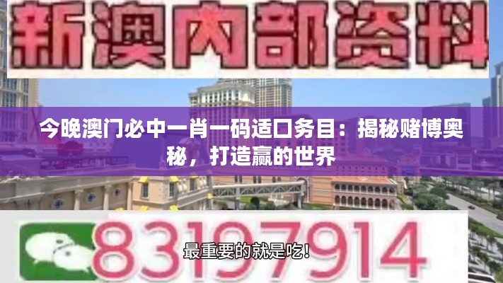 今晚澳门必中一肖一码适囗务目：揭秘赌博奥秘，打造赢的世界