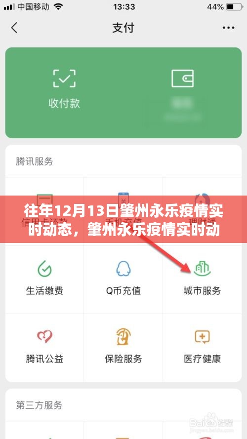 肇州永乐疫情实时动态全面解析，系统特性、体验、竞品对比与用户洞察