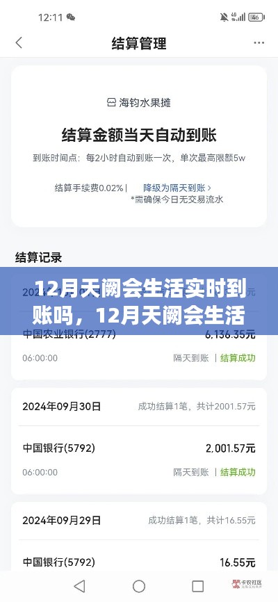 12月天阙生活实时到账服务全面解析与介绍