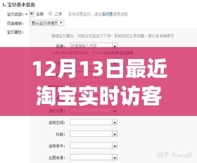 掌握淘宝实时访客趋势，洞悉12月13日数据，领跑电商赛道的手把手教程