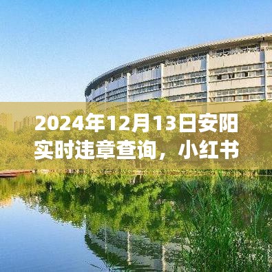 2024年安阳交通实时违章查询指南，最新信息与小贴士分享