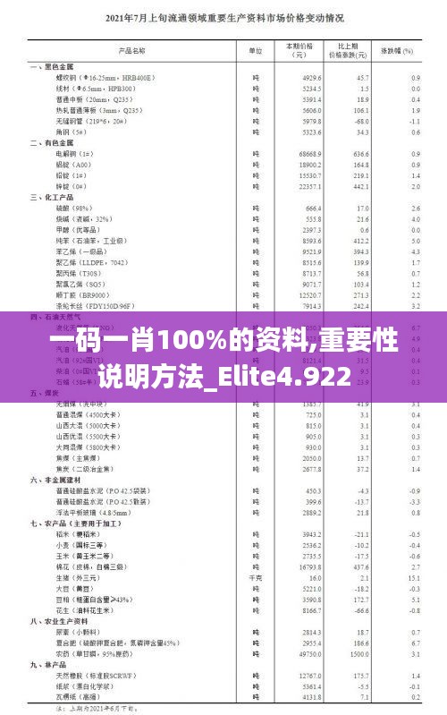 一码一肖100%的资料,重要性说明方法_Elite4.922