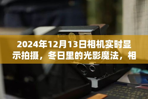 冬日光影魔法，实时拍摄下的温馨时光（2024年12月13日）