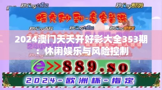 2024澳门天天开好彩大全353期：休闲娱乐与风险控制