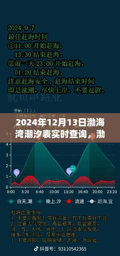 渤海湾潮汐实时查询，潮汐背后的温馨故事，渤海湾潮汐表2024年12月13日更新