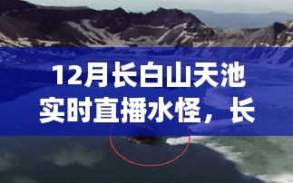 长白山天池水怪揭秘，12月实时直播探秘神秘生物！