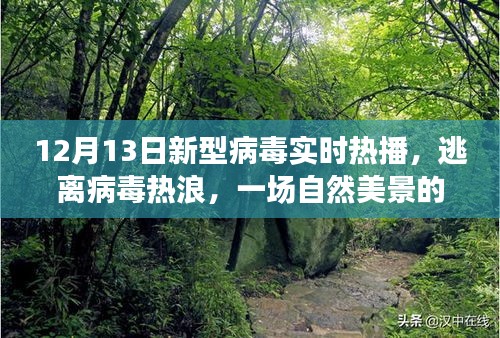 自然美景治愈之旅，逃离病毒热浪，探寻未知美景