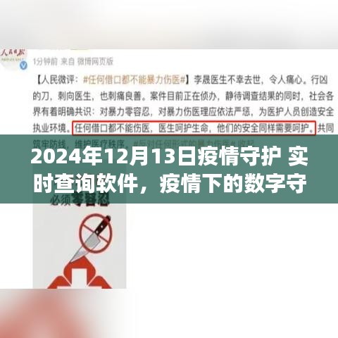 疫情下的数字守护神，实时查询软件与我们的成长之旅（2024年12月13日）