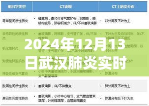 建议，最新消息，武汉肺炎实时报道与步骤指南（2024年）