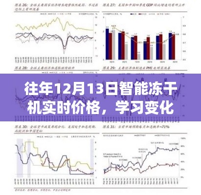 往年12月13日智能冻干机价格走势，洞悉变化，把握未来成就与自信之路