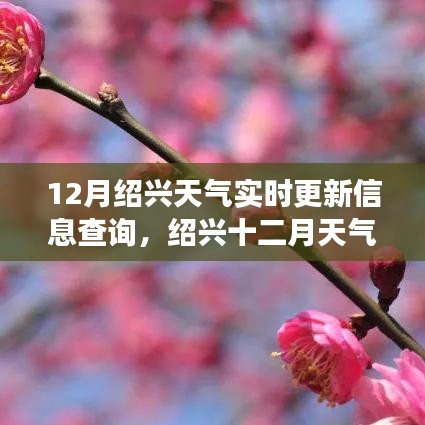 绍兴十二月天气实时更新与多维度气象变化思考