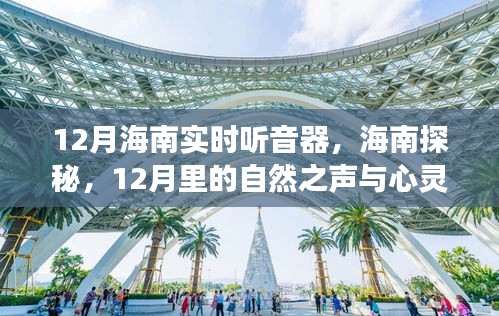 12月海南探秘之旅，自然之声与心灵之旅实时听音体验
