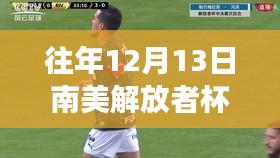 南美解放者杯赛场温情时光，我与足球的奇妙缘分回顾往年赛况