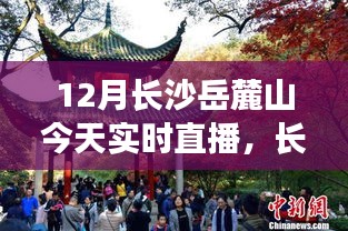「12月长沙岳麓山直播观赏指南，实时领略山中风光」