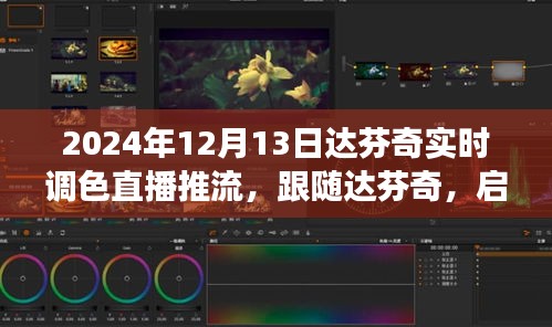 达芬奇调色艺术之旅，实时探索自然美景的直播盛宴