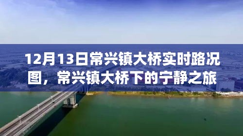 常兴镇大桥下的宁静之旅，实时路况与探秘自然美景的探秘之路（12月13日）