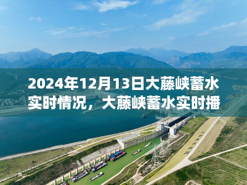 2024年12月13日大藤峡蓄水深度观察，实时情况播报与动态分析