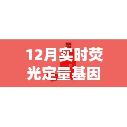 探秘基因奥秘，荧光定量基因检测仪与隐秘小巷的特色小店