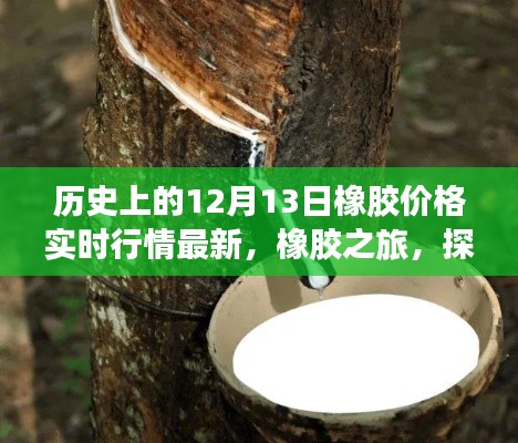 探寻自然美景背后的橡胶价格动态与内心宁静，橡胶市场实时行情回顾与未来展望（12月13日最新）