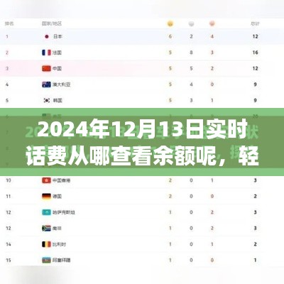 2024年实时话费余额查询攻略，轻松掌握话费余额，以12月13日为例
